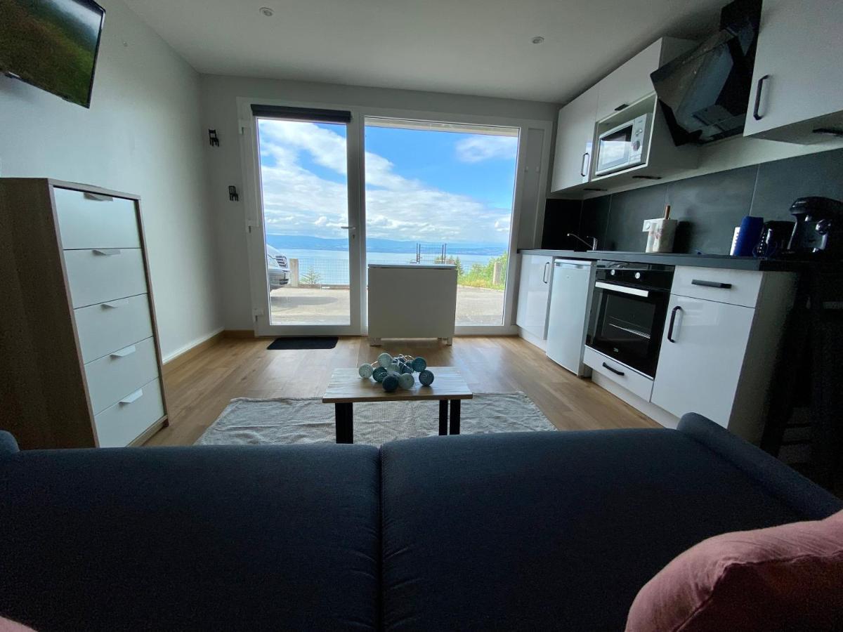 Ferienwohnung Les Vies En Rose Évian-les-Bains Exterior foto